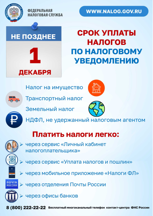 Срок уплаты по налоговому уведомлению